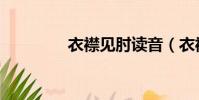衣襟見肘讀音(衣襟見肘)