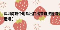 深圳灣哪個地鐵出口出來直接是海景的(深圳灣地鐵站出口是海)