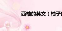 西柚的英文(柚子的英文)