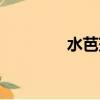 水芭莎公司簡介（水芭莎）