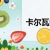 卡爾瓦多斯圖片（卡爾瓦多斯）