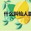 什么叫仙人跳可以立案嗎（什么叫仙人跳）