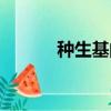 種生基的價格（種生基價格表）