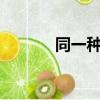 同一種調調mv（同一種調調）