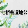七橋甕濕地公園要門票嗎（七橋甕濕地公園）