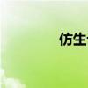 仿生設計作品（仿生設計）