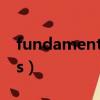 fundamentals of physics（fundamentals）