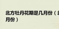 北方牡丹花期是幾月份(北方 牡丹花期是幾月份)