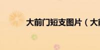大前門短支圖片(大前門短支)