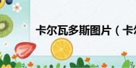 卡爾瓦多斯圖片(卡爾瓦多斯)