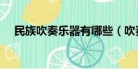 民族吹奏樂器有哪些(吹奏樂器有哪些)