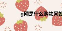 g網是什么購物網站(g網)