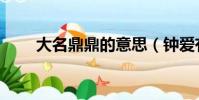 大名鼎鼎的意思(鐘愛有加的意思)