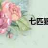 七匹狼運動裝（七匹狼運動）