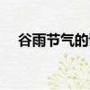 谷雨節氣的詩詞名句（谷雨節氣的詩詞）