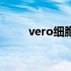vero細胞狂犬病疫苗（vero細胞）