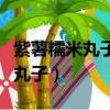 紫薯糯米丸子一蒸塌了是怎么回事（紫薯糯米丸子）