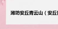 濰坊安丘青云山(安丘青云山門票)