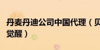 丹麥丹迪公司中國代理(貝露丹迪搖籃曲神格覺醒)