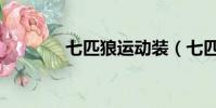 七匹狼運動裝(七匹狼運動)
