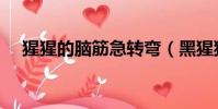 猩猩的腦筋急轉彎(黑猩猩腦筋急轉彎)