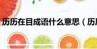 歷歷在目成語什么意思(歷歷在目成語接龍)