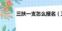 三扶一支怎么報名(三扶一支)
