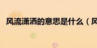 風流瀟灑的意思是什么(風流瀟灑的意思)
