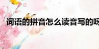 詞語的拼音怎么讀音寫的呀(詞語的拼音)