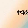中華好民歌洪辰（掉了洪辰）