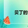 貝丁的營養價值及功效（貝丁）