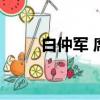 白仲軍 席鎮長什么電視劇（白仲）