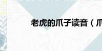 老虎的爪子讀音(爪子讀音)