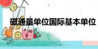 磁通量單位國際基本單位(磁通量單位)