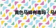 黃色馬蜂有毒嗎(馬蜂有毒嗎)