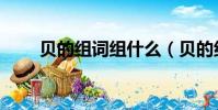 貝的組詞組什么(貝的組詞是什么)