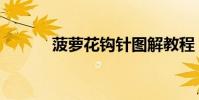 菠蘿花鉤針圖解教程(菠蘿花)