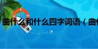 曲什么和什么四字詞語(曲什么和什么成語)