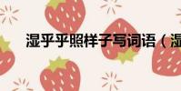 濕乎乎照樣子寫詞語(濕乎乎的話題)