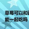 草莓可以和西紅柿一起吃嗎?（草莓和西紅柿能一起吃嗎）