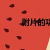 附片的功效與作用與主治（負片）