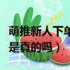 萌推新人下單全額返是真的嗎（萌推新人返現是真的嗎）