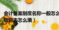 會計備案制度名稱一般怎么填(會計制度備案信息表怎么填)