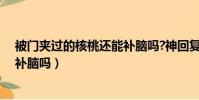 被門夾過的核桃還能補腦嗎?神回復(被門夾過的核桃還能補腦嗎)