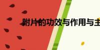 附片的功效與作用與主治(負片)