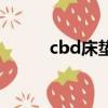 cbd床墊質量怎么樣（cbd床墊）