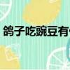 鴿子吃豌豆有什么好處（吃豌豆有什么好處）