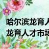哈爾濱龍育人才市場檔案全稱是什么（哈爾濱龍育人才市場）
