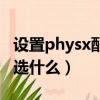 設置physx配置有什么區別（設置physx配置選什么）