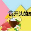 瓦開頭的成語有哪些（瓦開頭的成語）